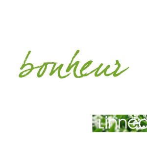 1er mai : Fête du travail et du muguet