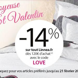 Joyeuse Saint Valentin &#9829;